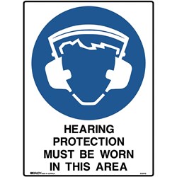 Brady Mandatory Sign Hearing And Eye Protection 450W x 600mmH Poly White/Blue